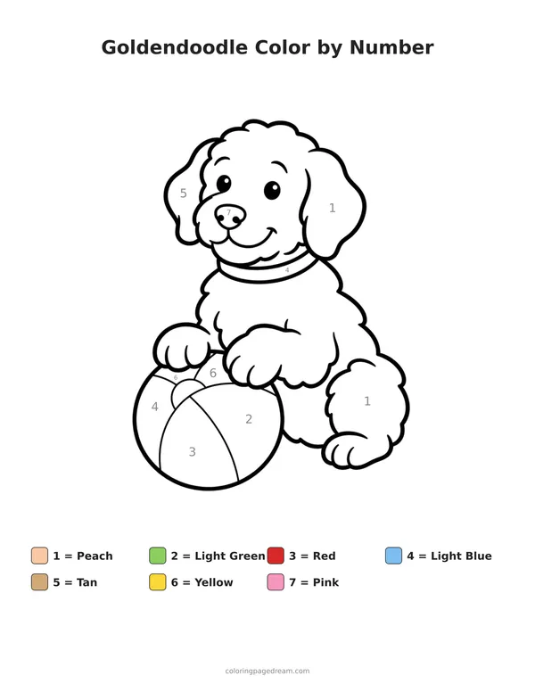 Goldendoodle Color by Number printable page — Sitting with a Beach Ball