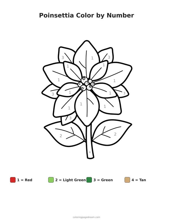 Poinsettia Color by Number printable page — Single Blossom On A Stem