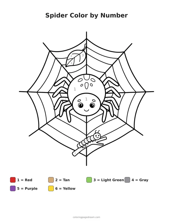 Spider Color by Number printable page — Sitting on an Intricate Web