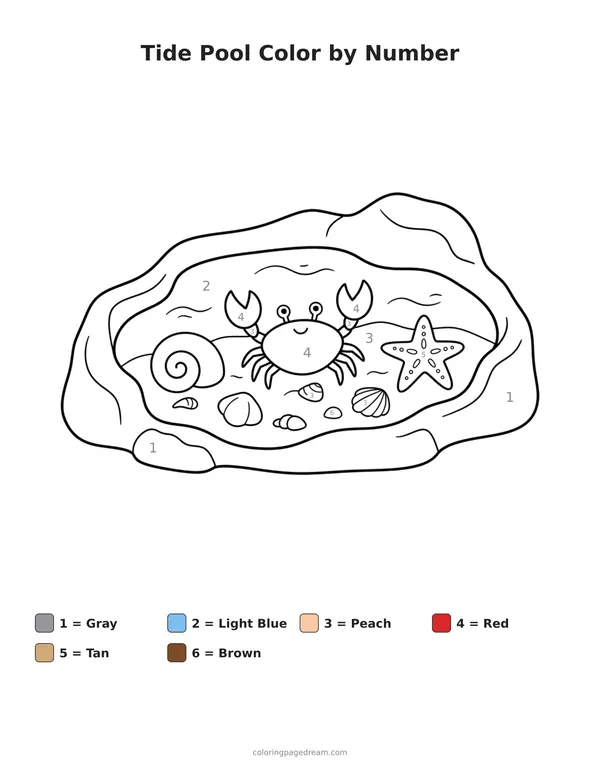 Tide Pool Color by Number printable page — Crab Starfish and Shells