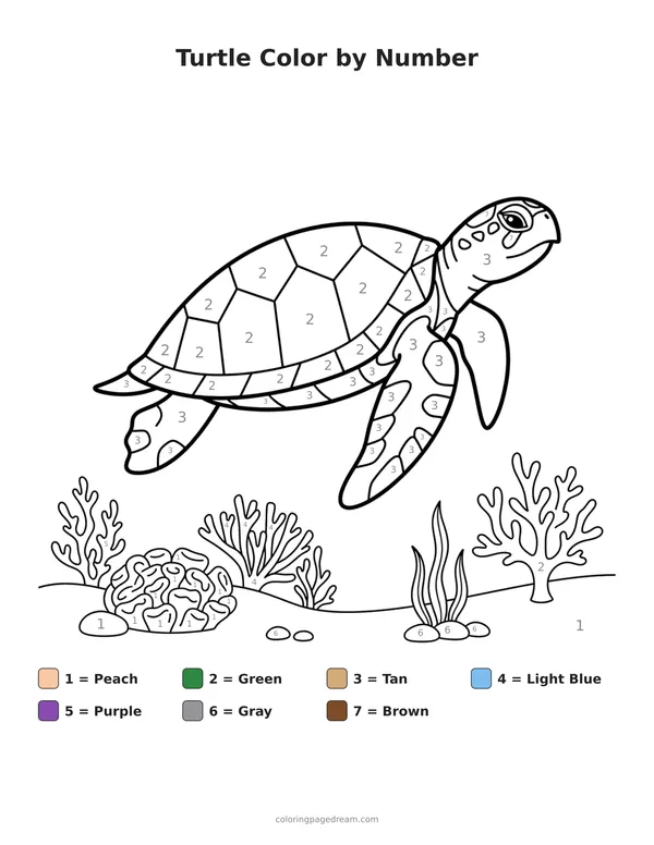 Turtle Color by Number printable page — Swimming Over Coral Reef