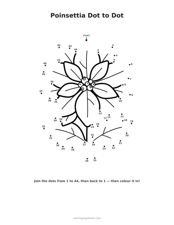 Poinsettia Dot to Dot printable page — Single Blossom On A Stem