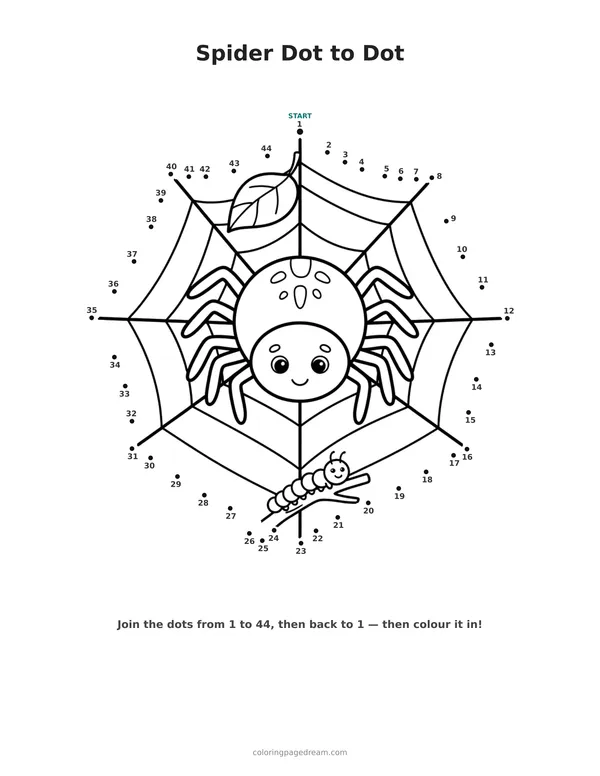 Spider Dot to Dot printable page — Sitting on an Intricate Web