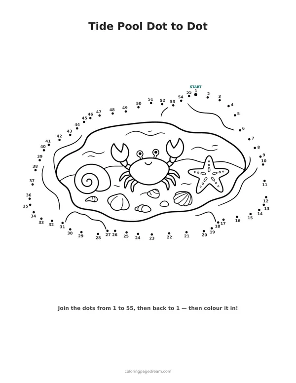 Tide Pool Dot to Dot printable page — Crab Starfish and Shells
