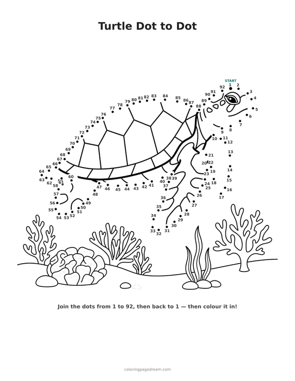 Turtle Dot to Dot printable page — Swimming Over Coral Reef