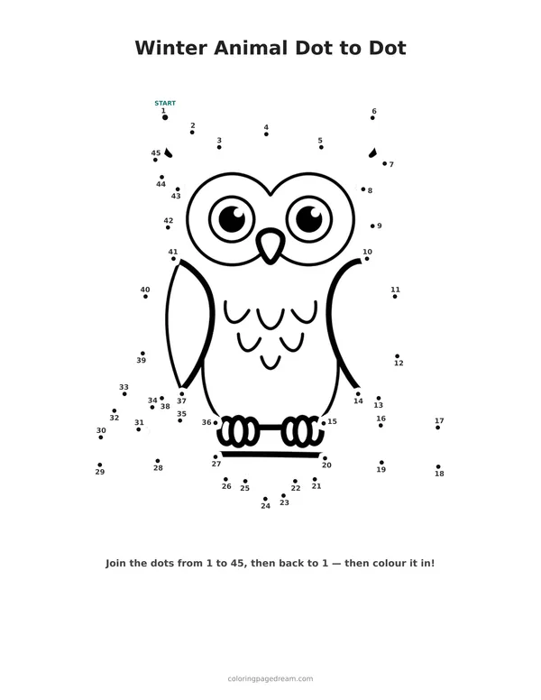 Winter Animal Dot to Dot printable page — Snowy Owl on a Branch