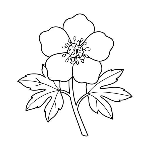 Christmas Rose Coloring Page — Hellebore Flower with Leaves