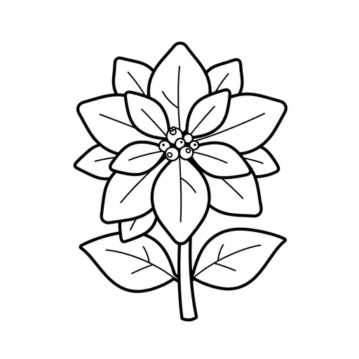 Easy Poinsettia Coloring Page — Single Blossom On A Stem